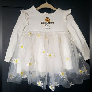 Baby Girl 1st Birthday Miffy Daisy Dress